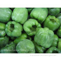 High Quality IQF Green Pepper Whole